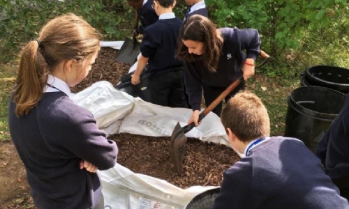 Enhancement Activities » Students awarded for allotment development